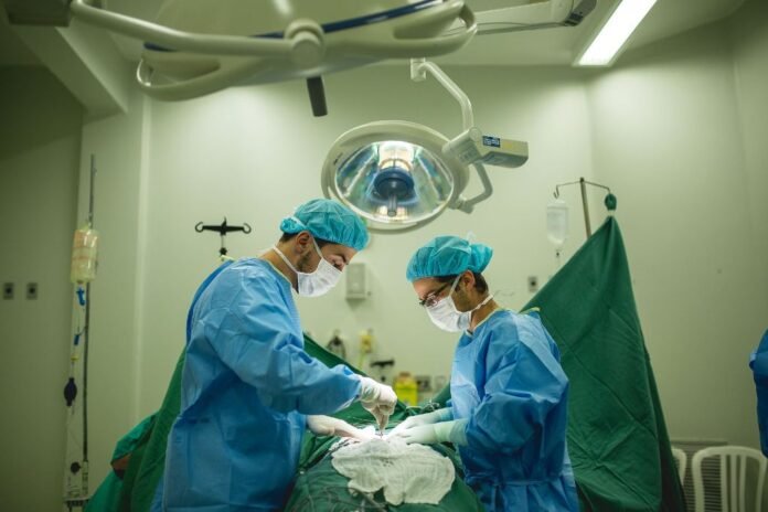 transplante-hcfmb